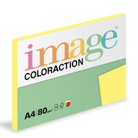 Coloraction 100 florida